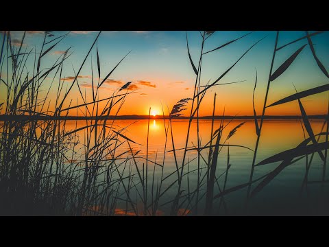 Liquid Drum and Bass Mix #150