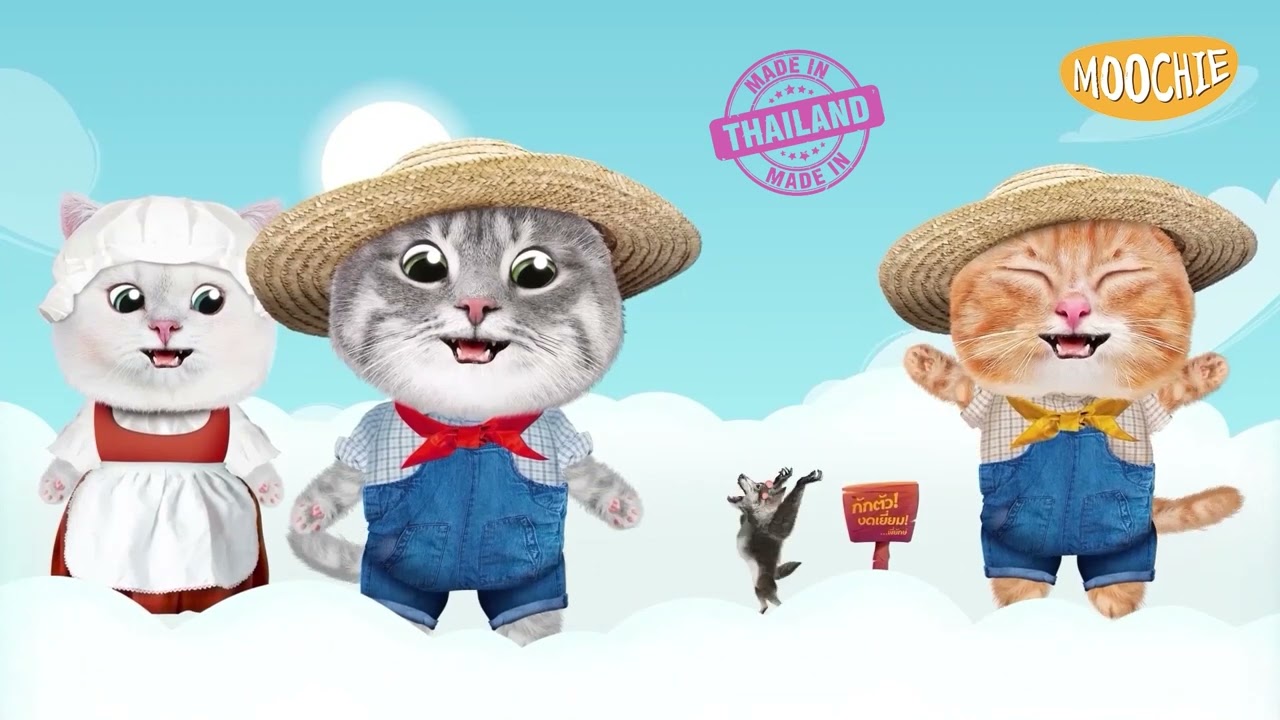 MOOCHIE Ton Balıklı ve Peynirli Krema Kedi Ödül Maması 15gr (5'li) tanıtım video görseli