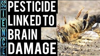 Why Did Trump EPA Approve Brain Damage Causing Pesticide?