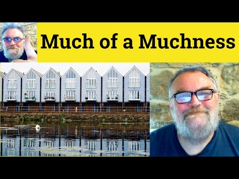 🔵 Much of a Muchness Meaning - Much of a Muchness Defined - Much of a Muchness Examples - Muchness