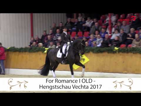 For Romance I OLD Hengstschau Vechta 2017