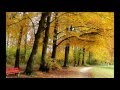 Bernward Koch ~ The Enchanted Path