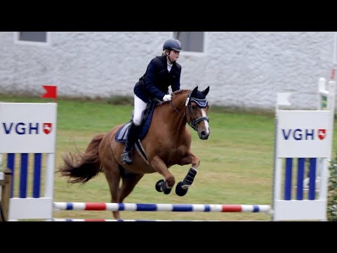 Erstes E Springen mit Campino heute in Alfhausen - Hat das Training was gebracht?