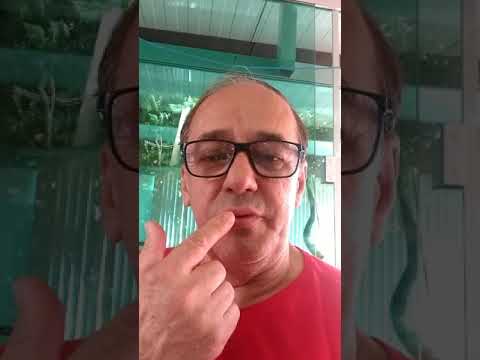 Techniques for playing the bass of the Berrante Casadosberrantes.com.br (34)992459792