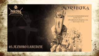 Percival Schuttenbach DEMO 99 - JEZIORO ŁABĘDZIE (Пётр Ильич Чайковский)