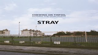 Stray - CHEWIE