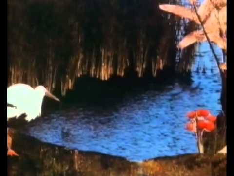 Die geschichte vom kalif storch #06