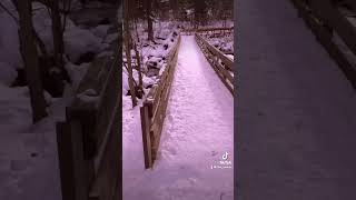 Idaho- Tracks in the Snow - The Civil Wars