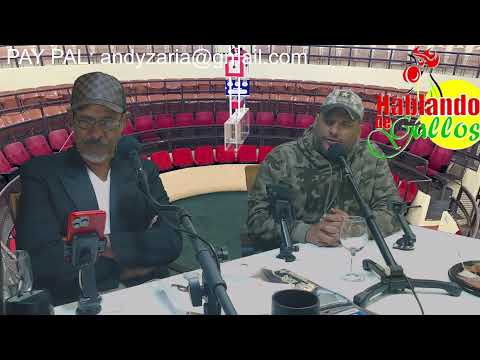 Hablando de Gallos 267