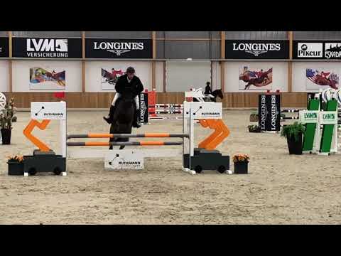 MPS Doli Cinda (Incora) for sale