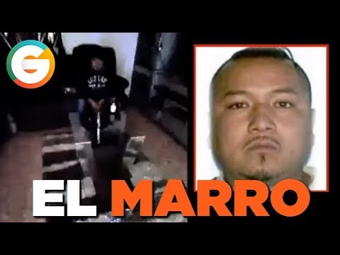 download lagu mp3 mp4 Grillonautas, download mp3 Grillonautas free downloadn, video klip Grillonautas