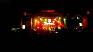 Hoy como un perro - Guadalupe Plata