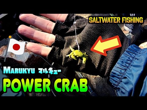 Fish loves Crab? Marukyu Power Crab
