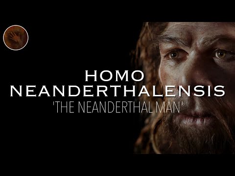 Homo Neanderthalensis: 'The Neanderthal Man' | Prehistoric Humans Documentary