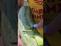 titolo video
