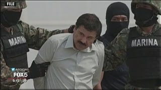 El Chapo&#39;s Big Business