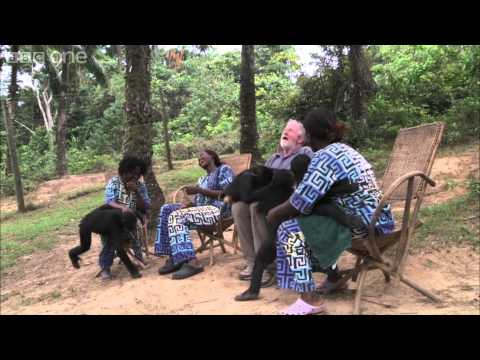Web exclusive: cause issues for the crew - Monkey Planet - BBC のサムネイル