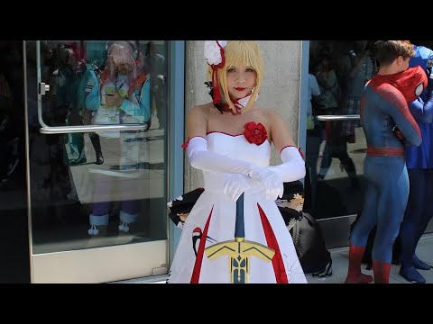 FanimeCon 2017