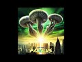 Rolf Zero Paxillus Full Album 2023 Progressive Rock