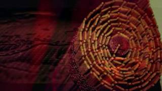 The night we fell in love