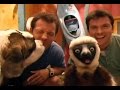 Zoboomafoo Cap 07 Amigos Pegajosos