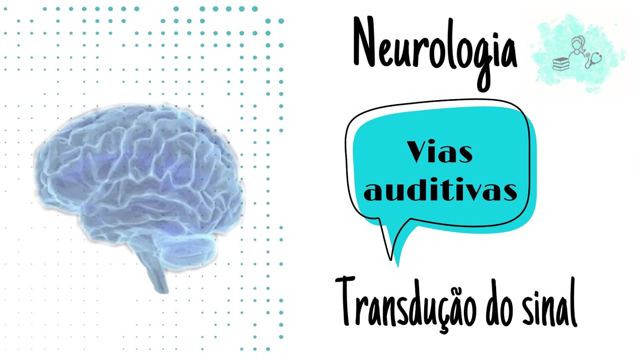 Via auditiva - Transdução do sinal e vias neurais