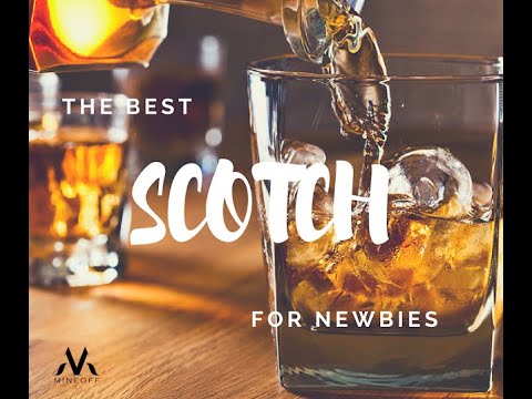 THE BEST SCOTCH FOR NEWBIES A BEGINNERS GUIDE TO THE MODEL LIFE