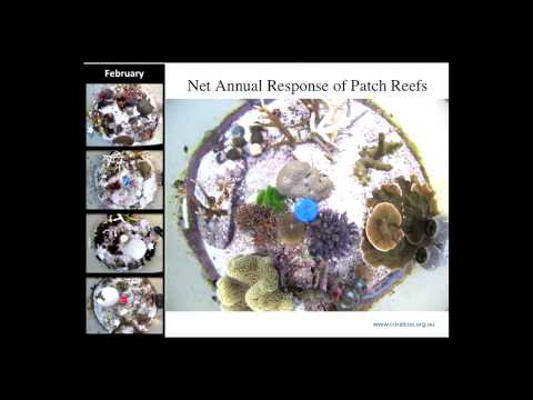 Sophie Dove - Reef decalcification under business-as-usual CO2 emission scenarios