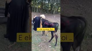 Ya Keya tha ?? #yakeyatha #shorts