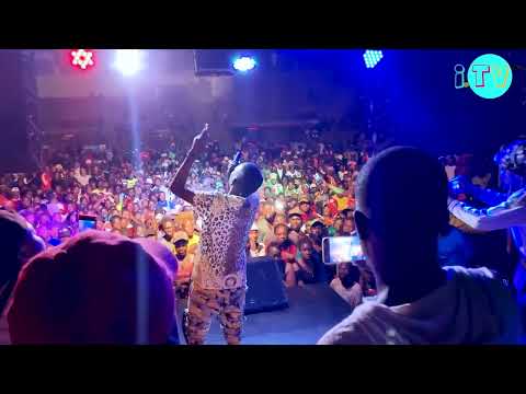 Ginna marina. hwinza and flex t