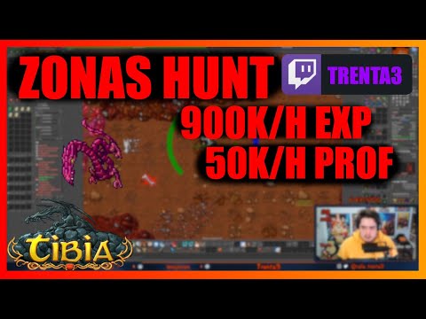 TIBIA ZONAS HUNT GUIA | Wyrm 900K Lvl 80+