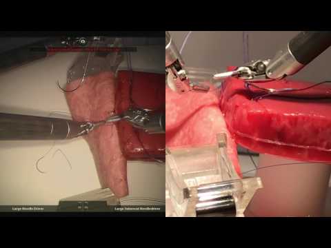 Robotic Biotissue Skills Lab Demo | UCLA CASIT