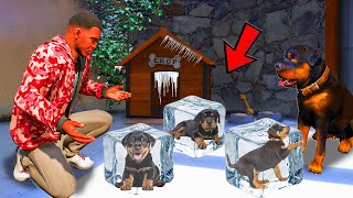 Video thumbnail image