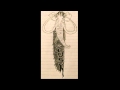TUSK - Dead & Disposed