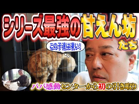 動き出したラストシーズン〜変化しはじめたニャンコ達〜