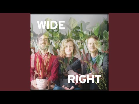 Video thumbnail for Liz Phair
