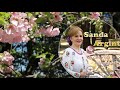 SANDA ARGINT COLAJ ALBUM CU CATE VIATA MA NCEARCA
