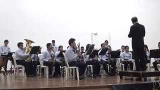 preview picture of video 'Cordilleras de los Andes - Banda sinfónica Ciudad de Girardot (Madrid - Cundinamarca 2014)'
