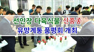 선인장 다육식물 신품종 유망계통 품평회 개최
