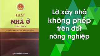 Xây chòi trên đất nông nghiệp có bị phạt không?