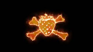 Cover art for FRUIT PUNCH