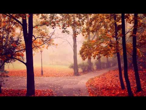 Ferry Tayle ft Sarah Shields & Ludovic H - The Most Important Thing (Mhammed El Alami Remix)