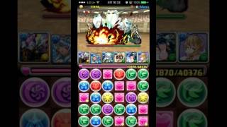 [극한의 투기장1] 메리디오나리스 시운전