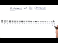 Sex Chromosomes Tales From The Genome