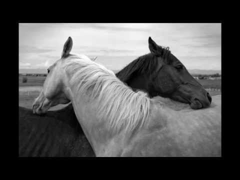 Hakan Lidbo feat Emma - What is Love (Unplugged)