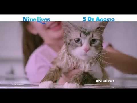 Nine Lives (2016) (TV Spot 7)