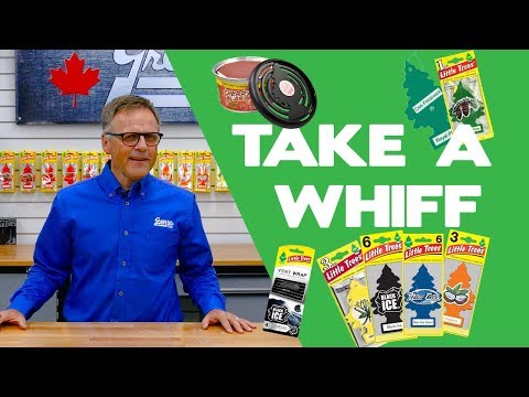 Make Your Car Smell Fresh with Little Trees - Gear Up With Gregg's