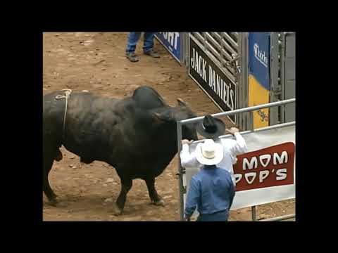 Pat Yancey vs Mojo - 96 PBR Charlotte (87 pts)