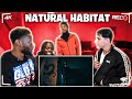 CHUCKYY NATURAL HABITAT REACTION