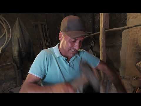 QR4ALL - Comuna Cozmești